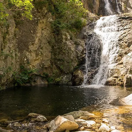 Monasterace 288 Apartment