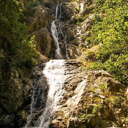 Διαμέρισμα Monasterace 288 *