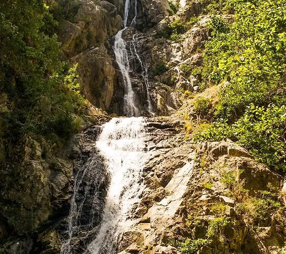 Apartman Monasterace 288 *